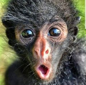 Meet your Posher, Bryce